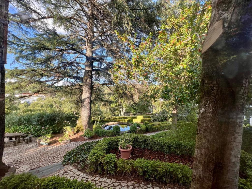 Casa Fundeira - Quinta Dos Esconhais كاستانهيرا دي بيرا المظهر الخارجي الصورة